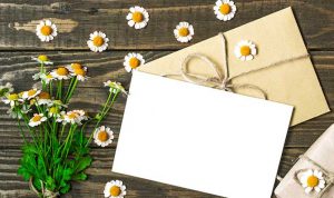 thank you cards