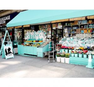 Bodega in NYC Bodega in NYC