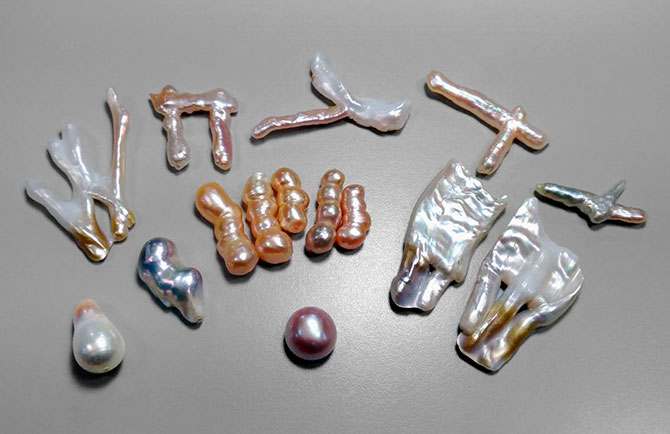 Multicolored Biwa pearls