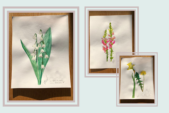 Brent Neale floral artworks