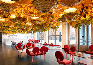 Chicago museum of contemporary art Chicago museum of contemporary art