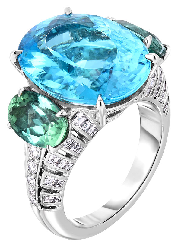 Cicada paraiba and tourmaline ring Cicada paraiba and tourmaline ring