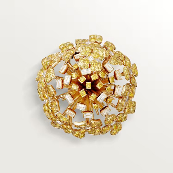 Cartier brooch Cartier brooch