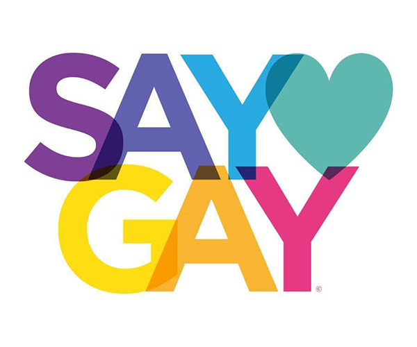 Say Gay sticker Say Gay sticker