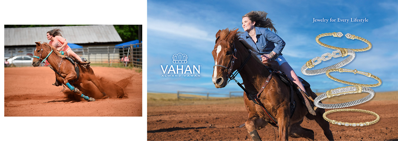 Vahan horse photo and advertisement Vahan horse photo and advertisement
