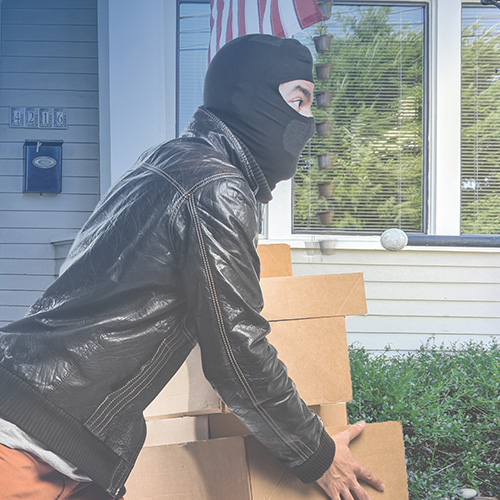 Parcel Pro shipping solutions