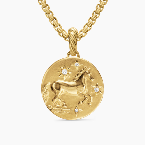 David Yurman necklace